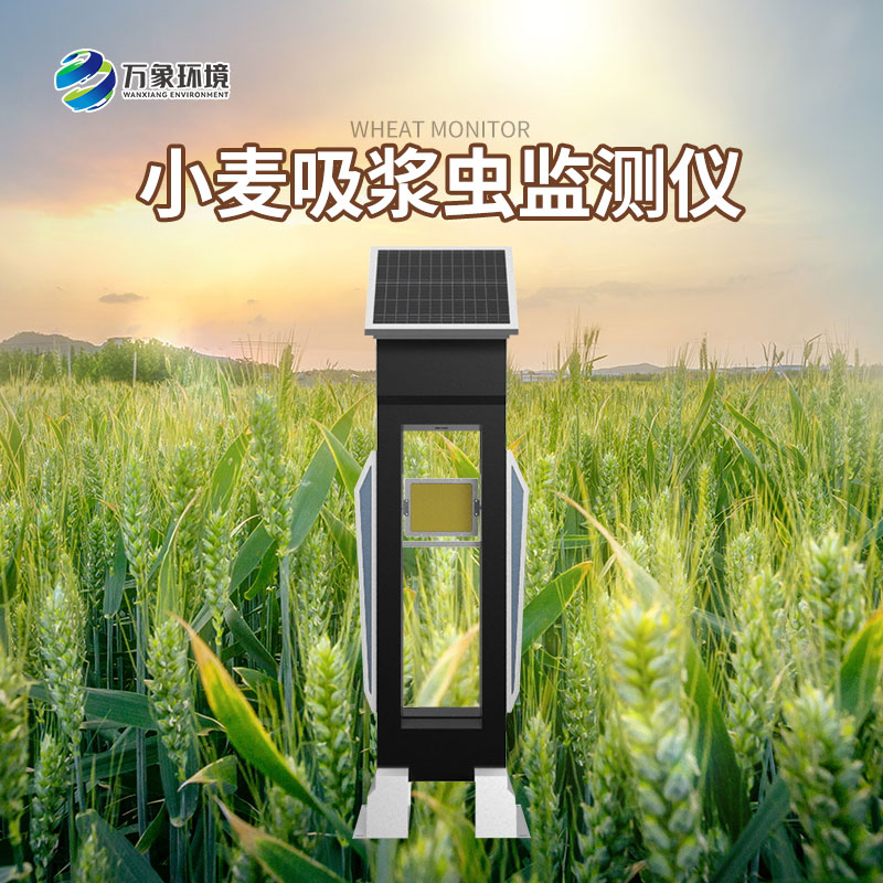 小麥吸漿蟲監測儀怎樣監測蟲害？