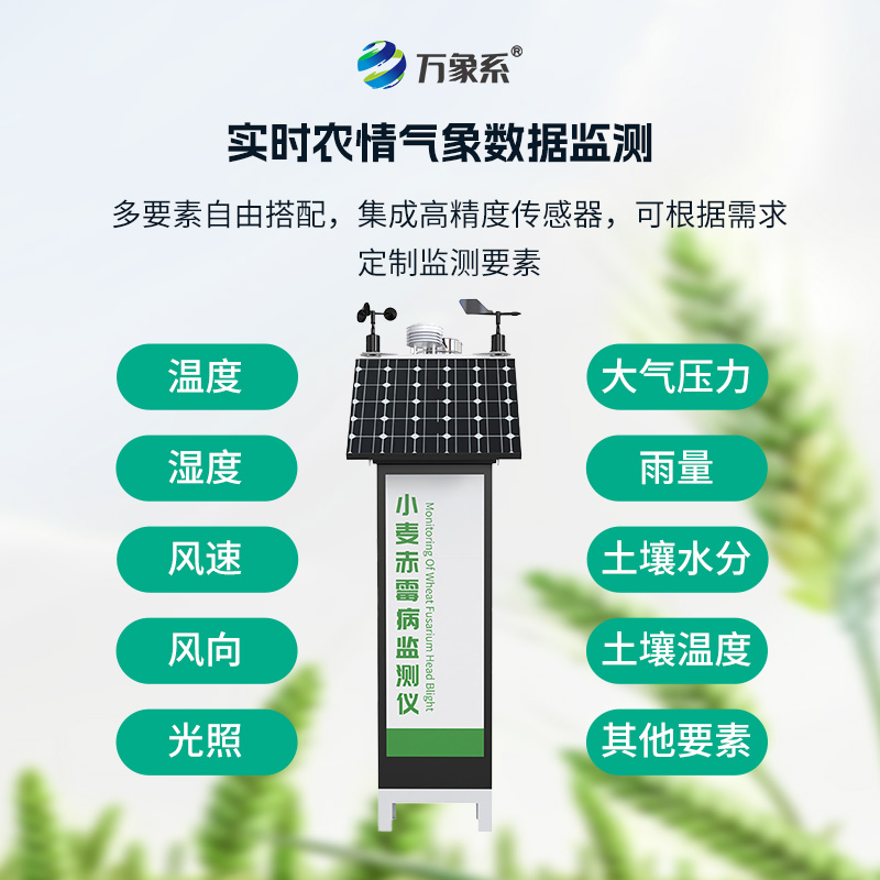 小麥赤霉病監測儀