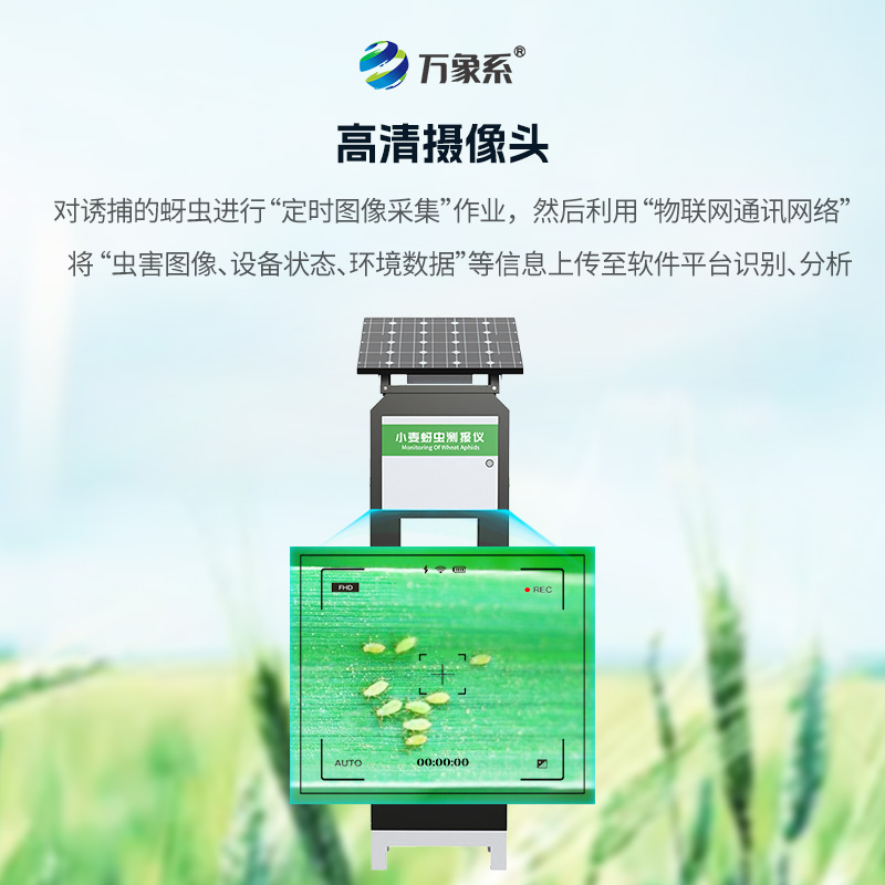 小麥蚜蟲在線監(jiān)測(cè)系統(tǒng)